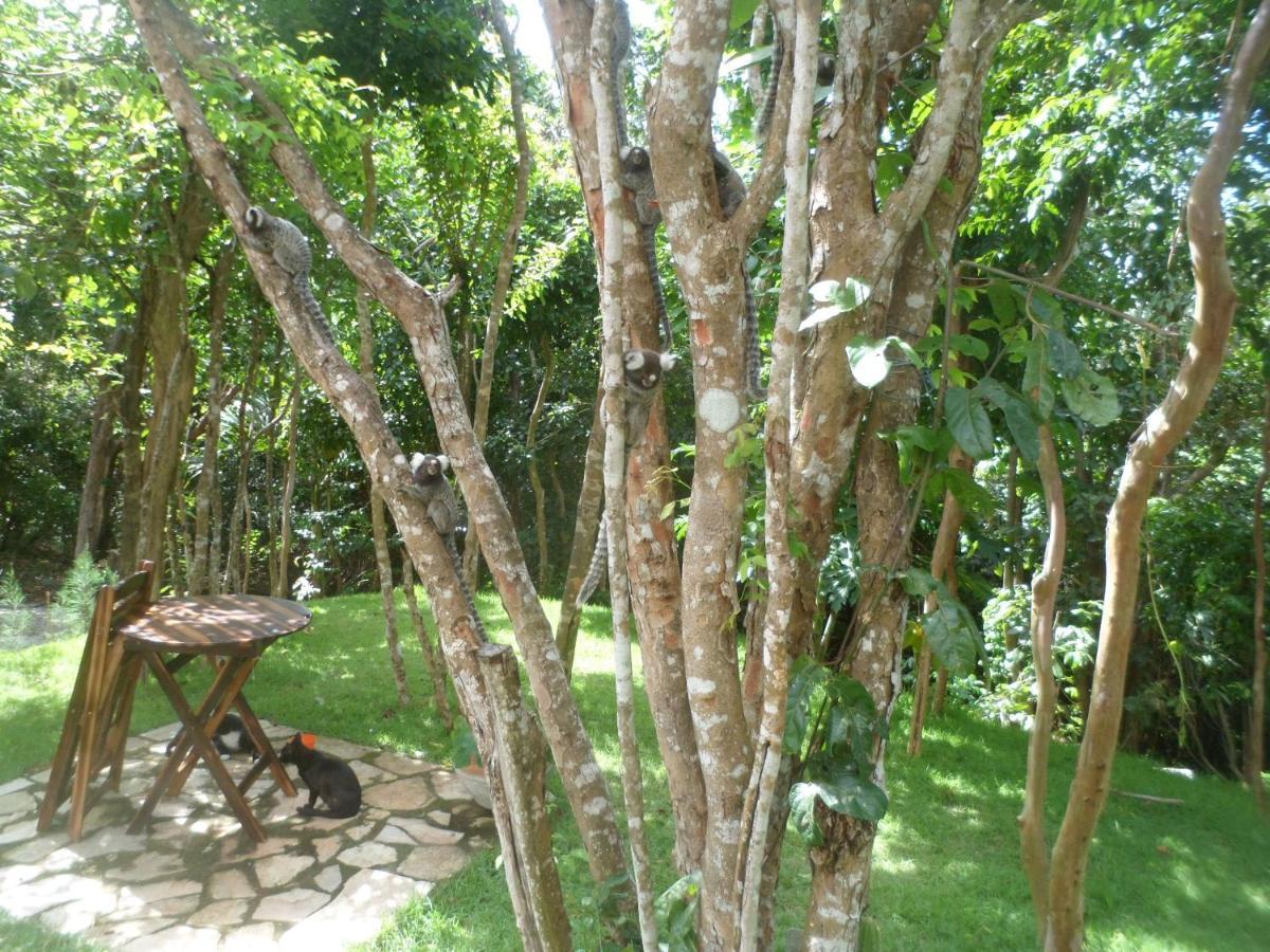 Casa Hermosa II Praia de Pipa Extérieur photo